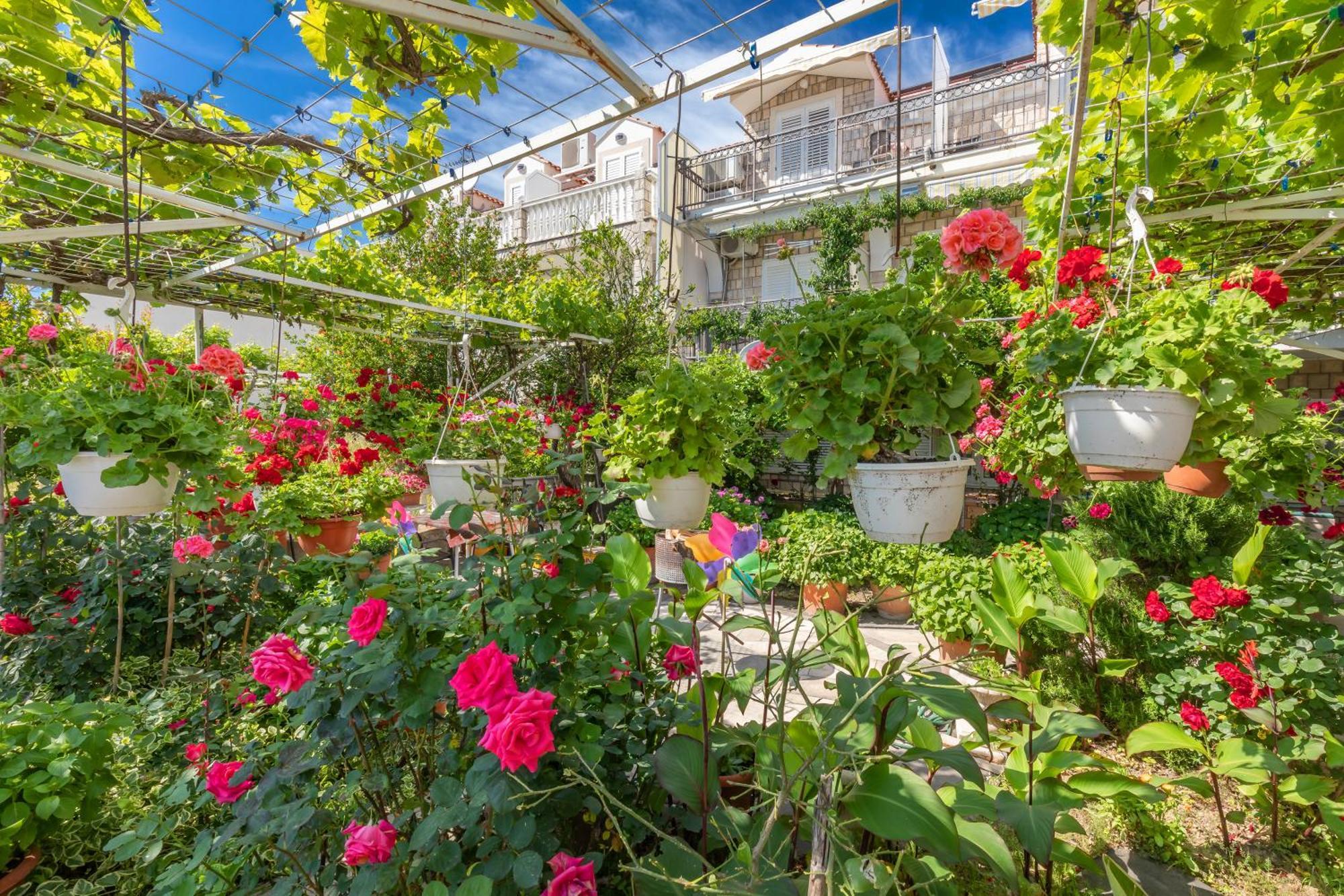 Apartmani Galic 2 Млини Екстериор снимка